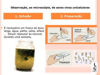 Observação, ao microscópio, de seres vivos unicelulares

1. Infusão



2. Preparação

É necessário um frasco de boca
larga, água, palha, salsa, alface
… Deixar repousar às escuras
durante uma semana.

20

 