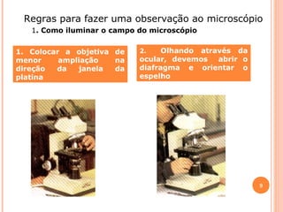 Regras para fazer uma observação ao microscópio
1. Como iluminar o campo do microscópio
1. Colocar a objetiva de
menor
ampliação
na
direção
da
janela
da
platina

Olhando através da
ocular, devemos
abrir o
diafragma e orientar o
espelho
2.

9

 