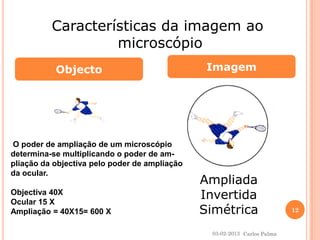 Objecto Imagem 
Características da imagem ao 
microscópio 
Ampliada 
Invertida 
Simétrica 
O poder de ampliação de um microscópio 
determina-se multiplicando o poder de am-pliação 
da objectiva pelo poder de ampliação 
da ocular. 
Objectiva 40X 
Ocular 15 X 
Ampliação = 40X15= 600 X 
03-02-2013 
12 
Carlos Palma 
 