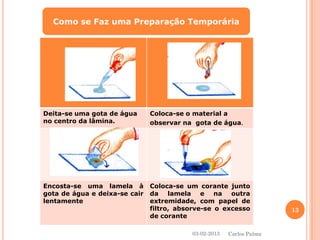 Como se Faz uma Preparação Temporária 
Deita-se uma gota de água 
no centro da lâmina. 
Coloca-se o material a observar na gota de água. 
Encosta-seumalamelaàgotadeáguaedeixa-secairlentamente 
Coloca-seumcorantejuntodalamelaenaoutraextremidade,compapeldefiltro,absorve-seoexcessodecorante 
03-02-2013 
13 
Carlos Palma  