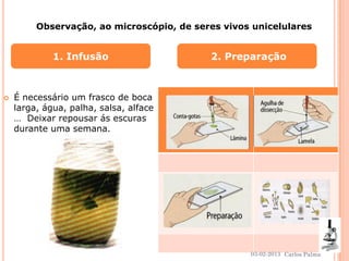  É necessário um frasco de boca 
larga, água, palha, salsa, alface 
… Deixar repousar ás escuras 
durante uma semana. 
1. Infusão 2. Preparação 
Observação, ao microscópio, de seres vivos unicelulares 
03-02-2013 
20 
Carlos Palma 
 