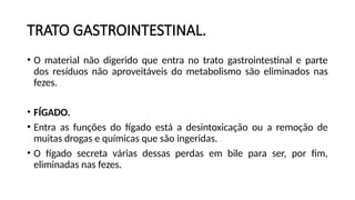 TRATO GASTROINTESTINAL.
• O material não digerido que entra no trato gastrointestinal e parte
dos resíduos não aproveitáveis do metabolismo são eliminados nas
fezes.
• FÍGADO.
• Entra as funções do fígado está a desintoxicação ou a remoção de
muitas drogas e químicas que são ingeridas.
• O fígado secreta várias dessas perdas em bile para ser, por fim,
eliminadas nas fezes.
 