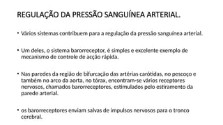 REGULAÇÃO DA PRESSÃO SANGUÍNEA ARTERIAL.
• Vários sistemas contribuem para a regulação da pressão sanguínea arterial.
• Um deles, o sistema barorreceptor, é simples e excelente exemplo de
mecanismo de controle de acção rápida.
• Nas paredes da região de bifurcação das artérias carótidas, no pescoço e
também no arco da aorta, no tórax, encontram-se vários receptores
nervosos, chamados barorreceptores, estimulados pelo estiramento da
parede arterial.
• os barorreceptores enviam salvas de impulsos nervosos para o tronco
cerebral.
 