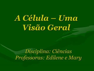 A Célula – Uma
  Visão Geral

    Disciplina: Ciências
Professoras: Edilene e Mary
 