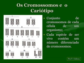 Os Cromossomos e o
     Cariótipo
         • Conjunto         de
           cromossomos de cada
           célula    de    um
           organismo;
         • Cada espécie de ser
           vivo   contém   um
           número diferenciado
           de cromossomos.


                       Profª.: Edilene
 