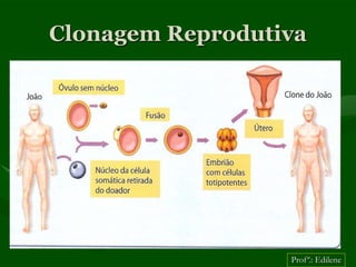Clonagem Reprodutiva




                  Profª.: Edilene
 