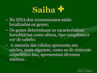 Saiba +
• No DNA dos cromossomos estão
  localizados os genes;
• Os genes determinam as características
  hereditárias como altura, tipo sangüíneo e
  cor de cabelo;
• A maioria das células apresenta um
  núcleo, mais algumas, como as do músculo
  esquelético liso, apresentam diversos
  núcleos.

                                     Profª.: Edilene
 
