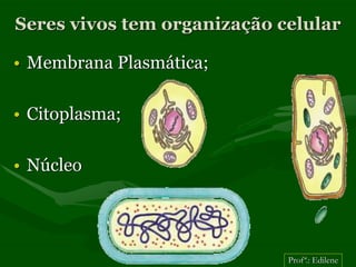 Seres vivos tem organização celular

• Membrana Plasmática;

• Citoplasma;

• Núcleo




                             Profª.: Edilene
 