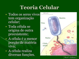 Teoria Celular
• Todos os seres vivos
  tem organização                         Bactéria

  celular;               Vírus

• Toda célula se
  origina de outra
  preexistente;
• A célula é a menor             Núcleo

  porção de matéria        Célula
  viva;                    animal


• A célula realiza
  diversas funções.
                                                 Profª.: Edilene
 