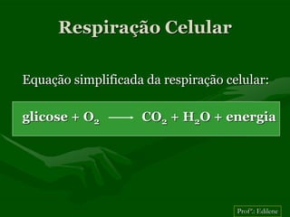 Respiração Celular

Equação simplificada da respiração celular:

glicose + O2        CO2 + H2O + energia




                                     Profª.: Edilene
 