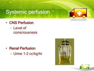 Systemic perfusion
• CNS Perfusion
  – Level of
    consciousness



• Renal Perfusion
  – Urine 1-2 cc/kg/hr
 