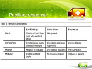 Pupillary response
 