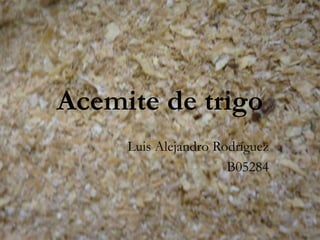 Acemite de trigo
Luis Alejandro Rodríguez
B05284
 