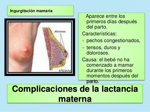 El menos el aumento del pecho