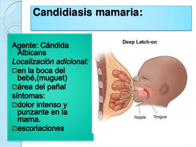 La canción tal pequeño pecho