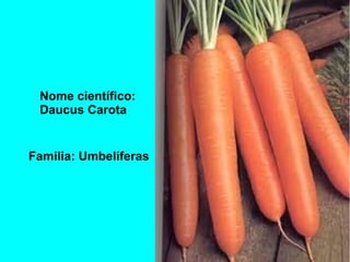 Nome científico:
Daucus Carota
Familia: Umbelíferas
 