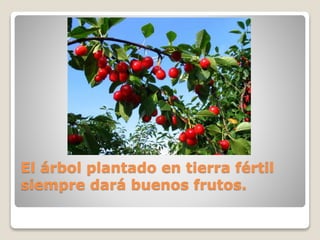 El árbol plantado en tierra fértil
siempre dará buenos frutos.