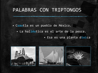  Cuautla es un pueblo de México.
 La haliéutica es el arte de la pesca.
 Esa es una planta dioica
PALABRAS CON TRIPTONG...