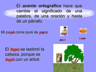 El  acento ortográfico  hace que cambie el significado de una palabra, de una oración y hasta de un párrafo.    pa pá pa pa Mi  pa pá  come  puré de  pa pa. El  topo  se lastimó la cabeza, porque se  topó  con un árbol. 