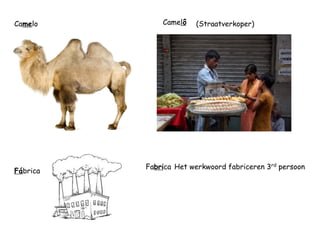 Camelo 
Camelô 
(Straatverkoper) 
Fábrica 
Fabrica 
Het werkwoord fabriceren 3rdpersoon 