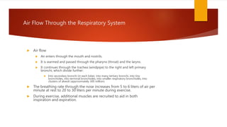 Air Flow Through the Respiratory System
 Air flow
 Air enters through the mouth and nostrils.
 It is warmed and passed through the pharynx (throat) and the larynx.
 It continues through the trachea (windpipe) to the right and left primary
bronchi, which divide further:
 Into secondary bronchi (in each lobe), into many tertiary bronchi, into tiny
bronchioles, into terminal bronchioles, into smaller respiratory bronchioles, into
clusters of alveoli (approximately 300 million)
 The breathing rate through the nose increases from 5 to 6 liters of air per
minute at rest to 20 to 30 liters per minute during exercise.
 During exercise, additional muscles are recruited to aid in both
inspiration and expiration.
 