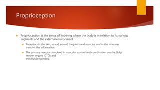 Proprioception
 Proprioception is the sense of knowing where the body is in relation to its various
segments and the external environment.
 Receptors in the skin, in and around the joints and muscles, and in the inner ear
transmit the information.
 The primary receptors involved in muscular control and coordination are the Golgi
tendon organs (GTO) and
the muscle spindles.
 