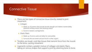 Connective Tissue
 There are two types of connective tissue directly related to joint
movement:
 Collagen
 Made up of proteins that provide tensile strength and relative inextensibility,
therefore limiting motion and resisting stretch
 Found in tendons and ligaments
 Elastic fibers
 Made up of amino acids and allow for extensibility
 Surround the sarcomere and are found in other organs
 Tendons are tough, cord-like tissues that transmit force from the muscle
to the bone, causing movement.
 Ligaments contain a greater mixture of collagen and elastic fibers,
taking on various shapes that support a joint by attaching bone to bone.
 