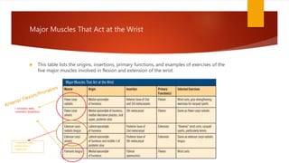 Major Muscles That Act at the Wrist
 This table lists the origins, insertions, primary functions, and examples of exercises of the
five major muscles involved in flexion and extension of the wrist.
+ pronator teres
+pronator quadratus
+ extensor carpi
radialis brevis
+supinator
 