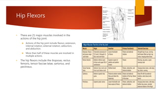 Hip Flexors
 There are 21 major muscles involved in the
actions of the hip joint.
 Actions of the hip joint include flexion, extension,
internal rotation, external rotation, adduction,
and abduction.
 More than half of these muscles are involved in
multiple actions.
 The hip flexors include the iliopsoas, rectus
femoris, tensor fasciae latae, sartorius, and
pectineus.
 