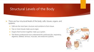 Structural Levels of the Body
 There are four structural levels of the body: cells, tissues, organs, and
systems.
 Cells are the most basic structure and combine to form tissue.
 Two or more tissues make up an organ.
 Organs that function together make up a system.
 The fitness professional must understand the cardiovascular, respiratory,
digestive, skeletal, nervous, muscular, and endocrine systems.
 
