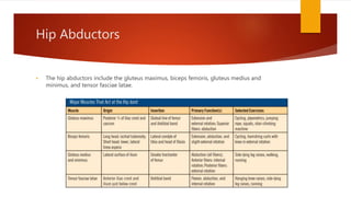 Hip Abductors
 The hip abductors include the gluteus maximus, biceps femoris, gluteus medius and
minimus, and tensor fasciae latae.
 