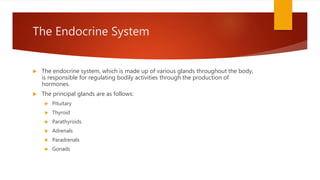 The Endocrine System
 The endocrine system, which is made up of various glands throughout the body,
is responsible for regulating bodily activities through the production of
hormones.
 The principal glands are as follows:
 Pituitary
 Thyroid
 Parathyroids
 Adrenals
 Paradrenals
 Gonads
 