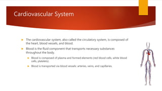 Cardiovascular System
 The cardiovascular system, also called the circulatory system, is composed of
the heart, blood vessels, and blood.
 Blood is the fluid component that transports necessary substances
throughout the body.
 Blood is composed of plasma and formed elements (red blood cells, white blood
cells, platelets).
 Blood is transported via blood vessels: arteries, veins, and capillaries.
 