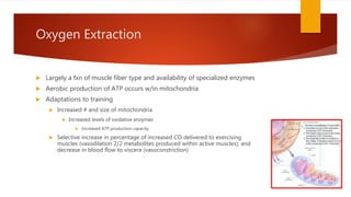 Oxygen Extraction
 Largely a fxn of muscle fiber type and availability of specialized enzymes
 Aerobic production of ATP occurs w/in mitochondria
 Adaptations to training
 Increased # and size of mitochondria
 Increased levels of oxidative enzymes
 Increased ATP production capacity
 Selective increase in percentage of increased CO delivered to exercising
muscles (vasodilation 2/2 metabolites produced within active muscles); and
decrease in blood flow to viscera (vasoconstriction)
 