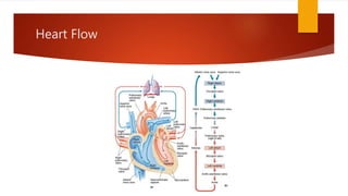 Heart Flow
 