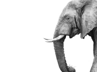 Perfecting Impactful Presentations - ACE 2015