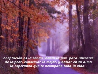 Aceptación es la senda hacia la paz para liberarte
 de lo peor, conservar lo mejor, y hallar en tu alma
    la esperanza que te acompañe toda la vida .
 