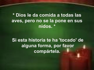 Erick Bernardo. * Dios le da comida a todas las aves, pero no se la pone en sus nidos. * Si esta historia te ha 'tocado' de alguna forma, por favor compártela.  