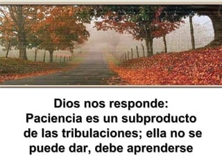 Dios nos responde: Paciencia es un subproducto de las tribulaciones; ella no se puede dar, debe aprenderse 