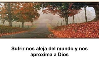 Sufrir nos aleja del mundo y nos aproxima a Dios 