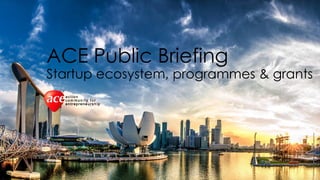 ACE Public Briefing
Startup ecosystem, programmes & grants
 