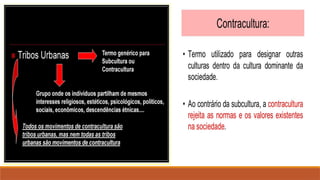 Acerca da cultura considerações básicass