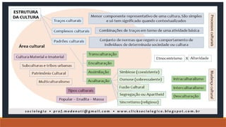 Acerca da cultura considerações básicass