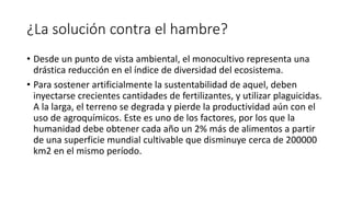 ¿La solución contra el hambre?
• Desde un punto de vista ambiental, el monocultivo representa una
drástica reducción en el índice de diversidad del ecosistema.
• Para sostener artificialmente la sustentabilidad de aquel, deben
inyectarse crecientes cantidades de fertilizantes, y utilizar plaguicidas.
A la larga, el terreno se degrada y pierde la productividad aún con el
uso de agroquímicos. Este es uno de los factores, por los que la
humanidad debe obtener cada año un 2% más de alimentos a partir
de una superficie mundial cultivable que disminuye cerca de 200000
km2 en el mismo período.
 