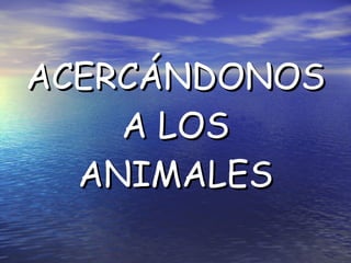 ACERCÁNDONOS A LOS ANIMALES 