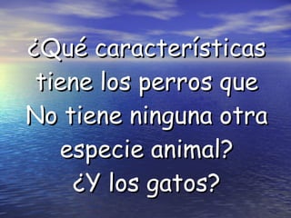 ¿Qué características tiene los perros que No tiene ninguna otra especie animal? ¿Y los gatos? 