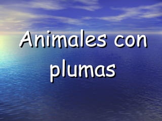 Animales con plumas 