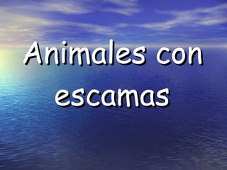 Animales con escamas 