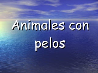 Animales con pelos 