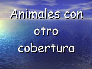 Animales con otro cobertura 